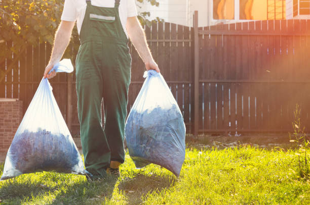 Best Shed Removal  in Twin Lakes, VA